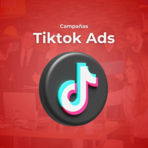 TikTok Ads